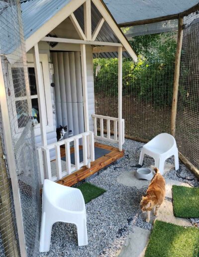 Fourways Kitty Hotel