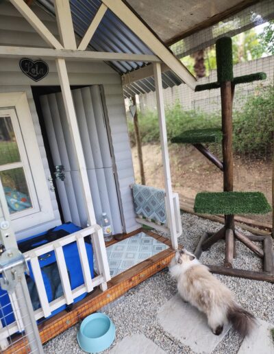 Fourways Kitty Hotel