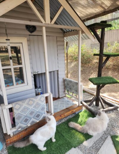 Fourways Kitty Hotel