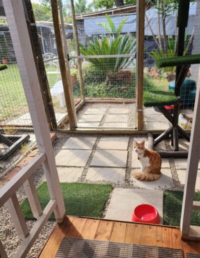 Fourways Kitty Hotel