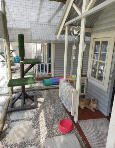 Fourways Kitty Hotel