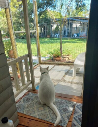 Fourways Kitty Hotel