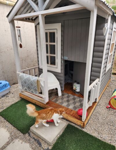 Fourways Kitty Hotel