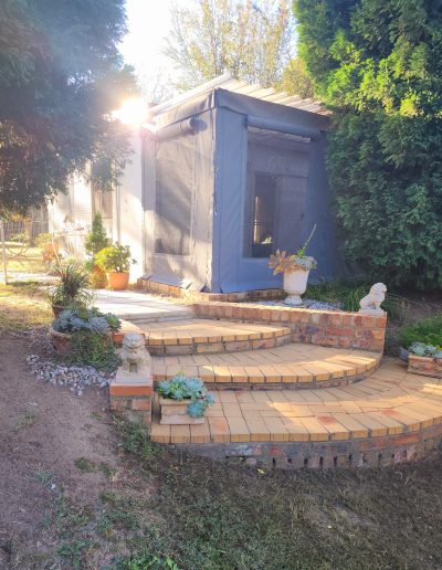 Fourways Kitty Hotel Guest Cat